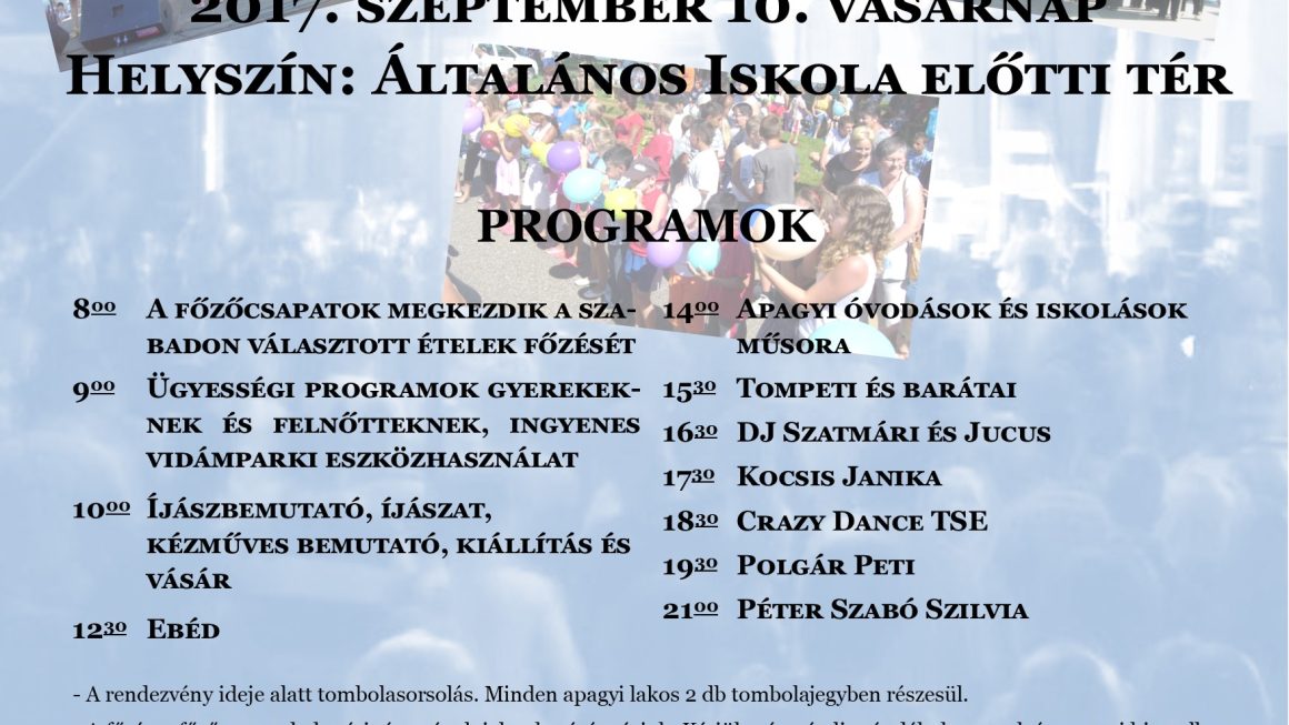 Falunap 2017